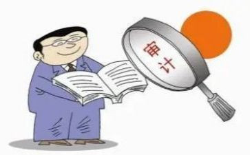 投资审计工作总结7篇