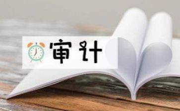 内部审计工作总结7篇