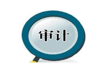 审计年度个人总结5篇