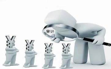 局内部审计工作总结通用6篇