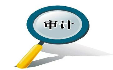 内部审计的工作总结7篇