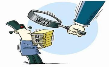 审计工作个人总结优秀8篇