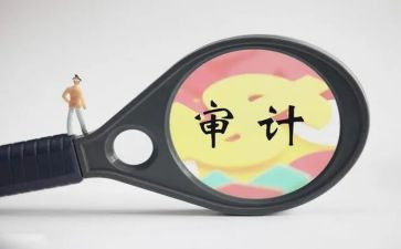 审计助理月工作总结6篇