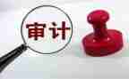审计办工作总结优秀8篇