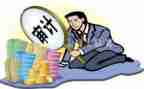 审计而工作总结6篇