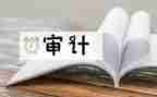 审计局的述职报告6篇