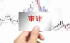 审计报告自查报告6篇