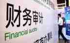 年度内部审计工作计划最新8篇