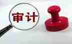 内部审计的工作总结5篇