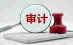 审计工作年度工作总结5篇