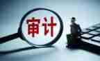 审计内部工作总结6篇