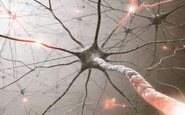 神经内科优秀护士个人总结7篇