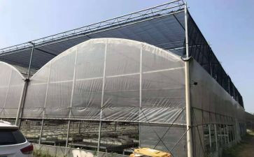 设施棚工作总结6篇