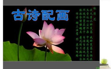 读诗歌心得体会5篇