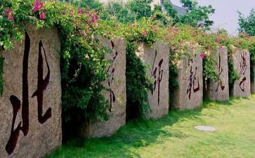 保育教师大班工作计划7篇