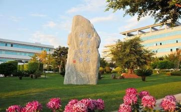 老师大学学期工作总结8篇