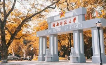 述职报告医师范文5篇