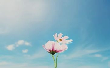 乡庆三十年讲话稿7篇