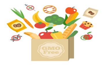 2022年幼儿园食品安全工作总结5篇