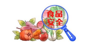 乡镇食品安全工作总结5篇