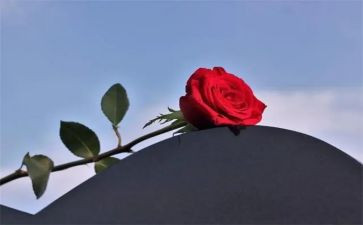 《其实我没有失去》作文5篇