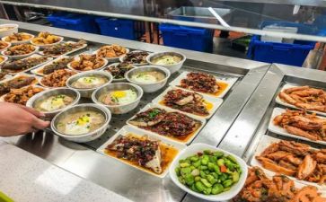 2024食堂上半年工作总结8篇