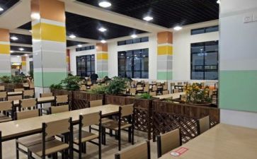 食堂个人工作总结报告7篇