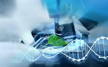 2022年生物实验室工作计划6篇