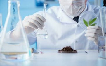 生物实验工作计划2022精选8篇