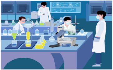 数学实验心得体会8篇