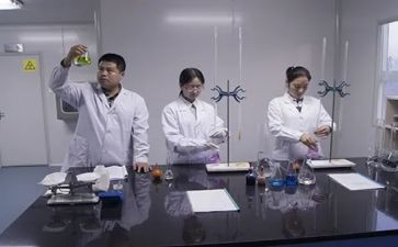 试验月工作总结7篇