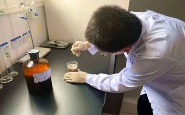 试验室工作计划5篇