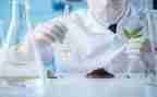 生物实验工作计划2022精选8篇