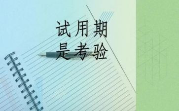 医院试用期工作总结个人5篇