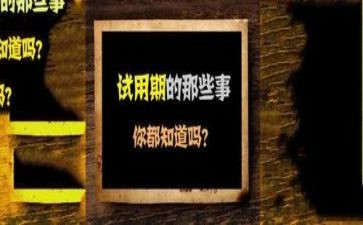 业务员试用期转正工作总结7篇