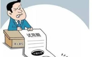 试用期工作总结会计5篇
