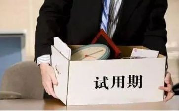 试用期转正工作总结8篇