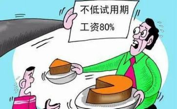 个人试用期工作总结范文5篇