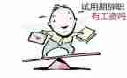 个人工作总结试用期6篇
