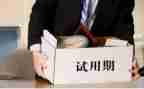 试用期转正工作总结8篇