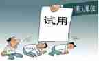 地铁试用期工作总结8篇