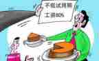 新员工试用期工作总结7篇