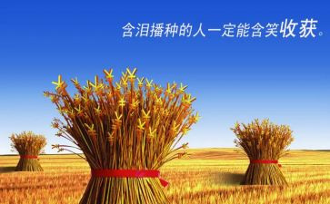 月工作总结收获5篇