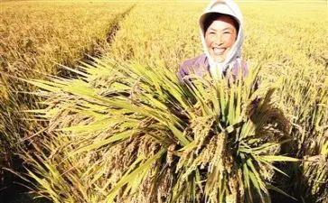 培训心得与收获总结5篇