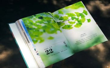 学校读书月活动方案7篇