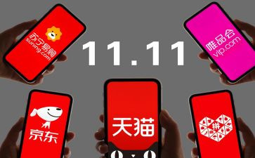 关于双11调查报告6篇
