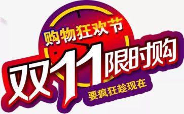 关于双11大学生调查报告优秀5篇