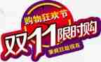 关于双11大学生调查报告优秀5篇