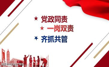 2022年一岗双责工作总结8篇