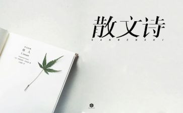 高中作文抒情800字作文6篇